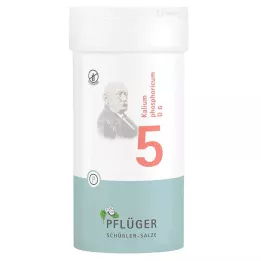 BIOCHEMIE Pflüger 5 Potassium phosphoricum D 6 tabliet, 400 ks