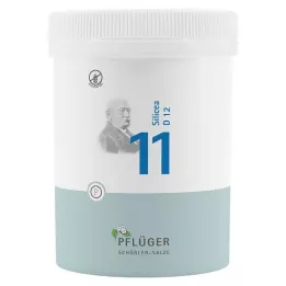 BIOCHEMIE Pflüger 11 Silicea D 12 tabliet, 1000 kapsúl