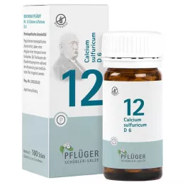 BIOCHEMIE Pflüger 12 Calcium sulphuricum D 6 tabliet, 100 ks