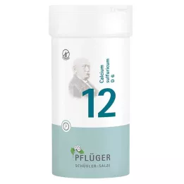 BIOCHEMIE Pflüger 12 Calcium sulphuricum D 6 tabliet, 400 ks