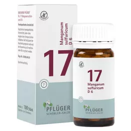 BIOCHEMIE Pflüger 17 Manganum sulphuricum D 6 tabliet, 100 ks