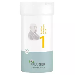 BIOCHEMIE Pflüger 1 Calcium fluoratum D 12 prášok, 100 g