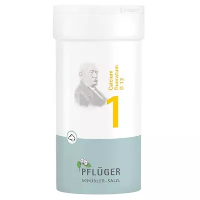 BIOCHEMIE Pflüger 1 Calcium fluoratum D 12 prášok, 100 g