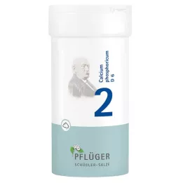 BIOCHEMIE Pflüger 2 Calcium phosphoricum D 6 prášok, 100 g