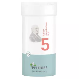 BIOCHEMIE Pflüger 5 Potassium phosphoricum D 6 prášok, 100 g