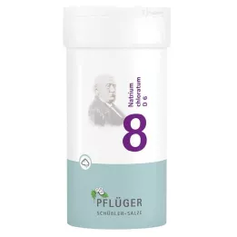 BIOCHEMIE Pflüger 8 Natrium chloratum D 6 prášok, 100 g