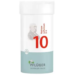 BIOCHEMIE Pflüger 10 Natrium sulfuricum D 6 prášok, 100 g