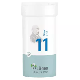 BIOCHEMIE Pflüger 11 Silicea D 12 prášok, 100 g