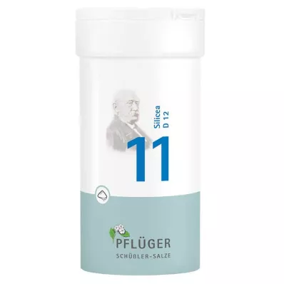 Biochémia Pflueger 11 Silicea D 12 prášok, 100 g Biochémia Pflueger 11 Silicea D 12 prášok, 100 g