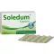 SOLEDUM 100 mg gastrorezistentné kapsuly, 100 ks