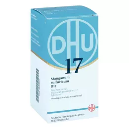 BIOCHEMIE DHU 17 Manganum sulfuricum D 12 tabliet, 420 ks