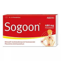 SOGOON 480 mg filmom obalené tablety, 20 kusov