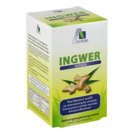 INGWER Kapsuly 500 mg+vitamín B1+C, 90 ks