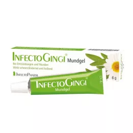 INFECTOGINGI Perorálny gél, 6 g