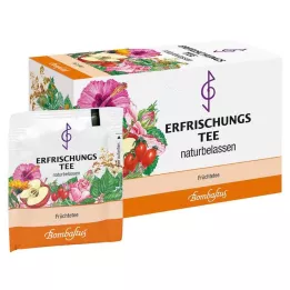 ERFRISCHUNGSTEE Filtračné vrecko, 20X3 g