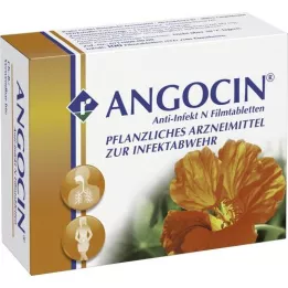 ANGOCIN Anti Infekt N filmom obalené tablety, 100 ks