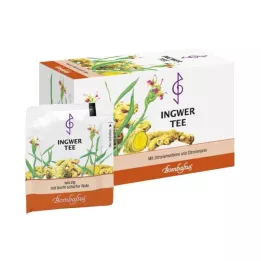 INGWER TEE Filtračné vrecko, 20X2 g
