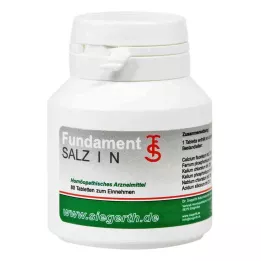 FUNDAMENT-Tablety Salt I N, 4X80 ks