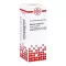 Asterias Rubens D6 riedenie (20 ml)