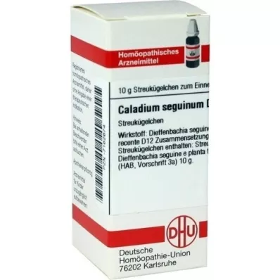 CALADIUM seguinum D 12 globúl, 10 g