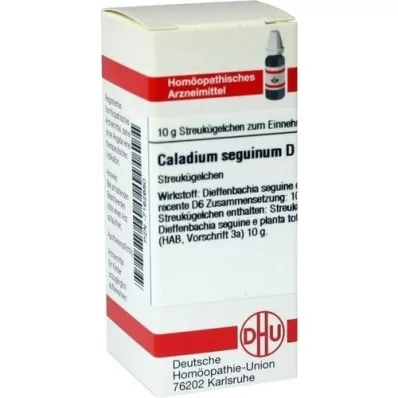 CALADIUM seguinum D 6 globúl, 10 g