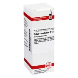 CISTUS CANADENSIS D 12 riedenie, 20 ml