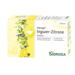 SIDROGA Filtračné vrecko na zázvorovo-citrónový čaj Wellness, 20X2,0 g