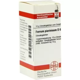 FERRUM PICRINICUM D 6 guľôčok, 10 g