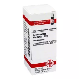 LACHNANTHES tinctoria D 6 guľôčok, 10 g