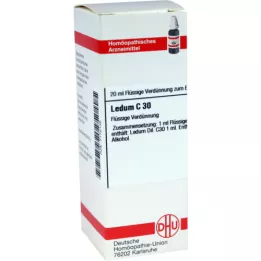 LEDUM C 30 riedenie, 20 ml