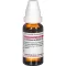 LEONURUS CARDIACA D 4 riedenie, 20 ml