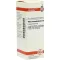 RHUS TOXICODENDRON D 200 riedenie, 20 ml