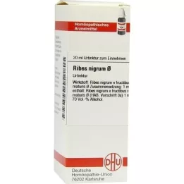 RIBES NIGRUM Materská tinktúra, 20 ml