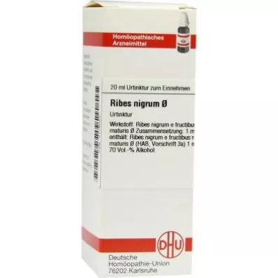 Materská tinktúra Ribes Nigrum (20 ml)