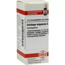 SOLIDAGO VIRGAUREA C 30 guľôčok, 10 g