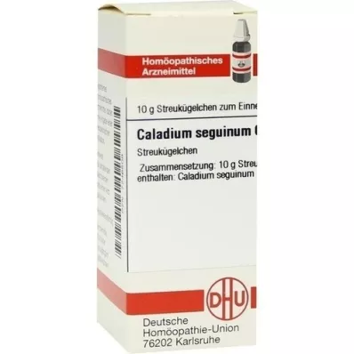 CALADIUM seguinum C 6 guľôčok, 10 g