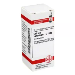 CALCIUM SULFURICUM C 1000 guľôčok, 10 g