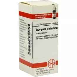 SYZYGIUM JAMBOLANUM D 4 guľôčky, 10 g