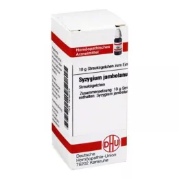 SYZYGIUM JAMBOLANUM D 4 guľôčky, 10 g