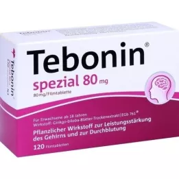 TEBONIN špeciálne 80 mg filmom obalené tablety, 120 ks