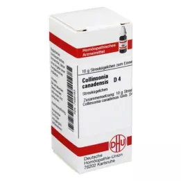 COLLINSONIA CANADENSIS D 4 guľôčky, 10 g