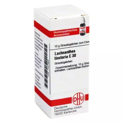 DHU Lachnanthes tinctoria C 30 globule, 10 g DHU Lachnanthes tinctoria C 30 globule, 10 g