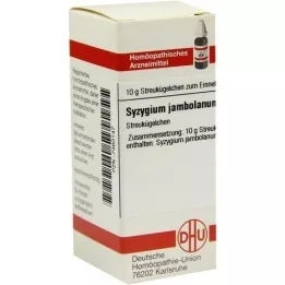 SYZYGIUM JAMBOLANUM D 6 guľôčok, 10 g