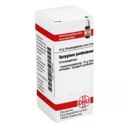 SYZYGIUM JAMBOLANUM D 6 guľôčok, 10 g