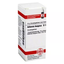 ADLUMIA fungosa D 12 guľôčok, 10 g