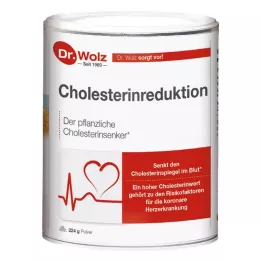 CHOLESTERINREDUKTION Dr.Wolz prášok, 224 g