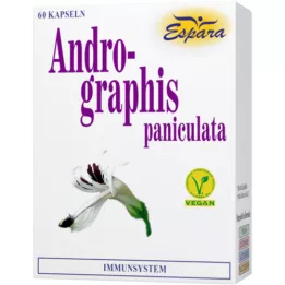 ANDROGRAPHIS paniculata kapsuly, 60 ks