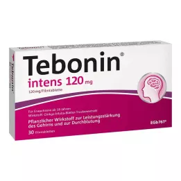 TEBONIN intenzívne 120 mg filmom obalené tablety, 30 ks