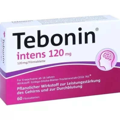 TEBONIN intenzívne 120 mg filmom obalené tablety, 60 ks