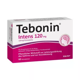 TEBONIN intenzívne 120 mg filmom obalené tablety, 60 ks